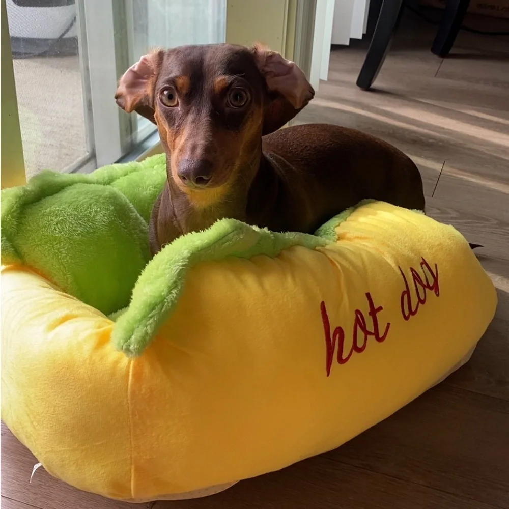 Hot dog bed for small dogs